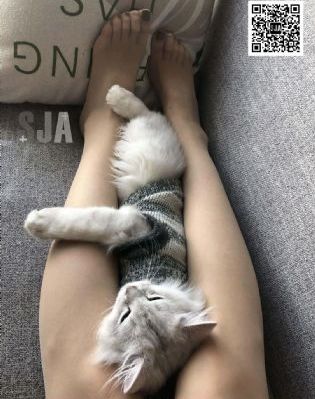 寂寞少妇色按摩bd_在线播放-手机电影免费播放